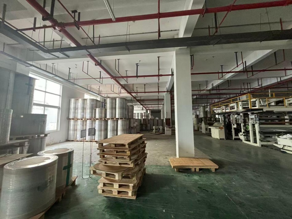 about-tezchangk (6)